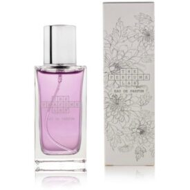 Γυναικείο άρωμα Τύπου Cheap and Chic 50ml
